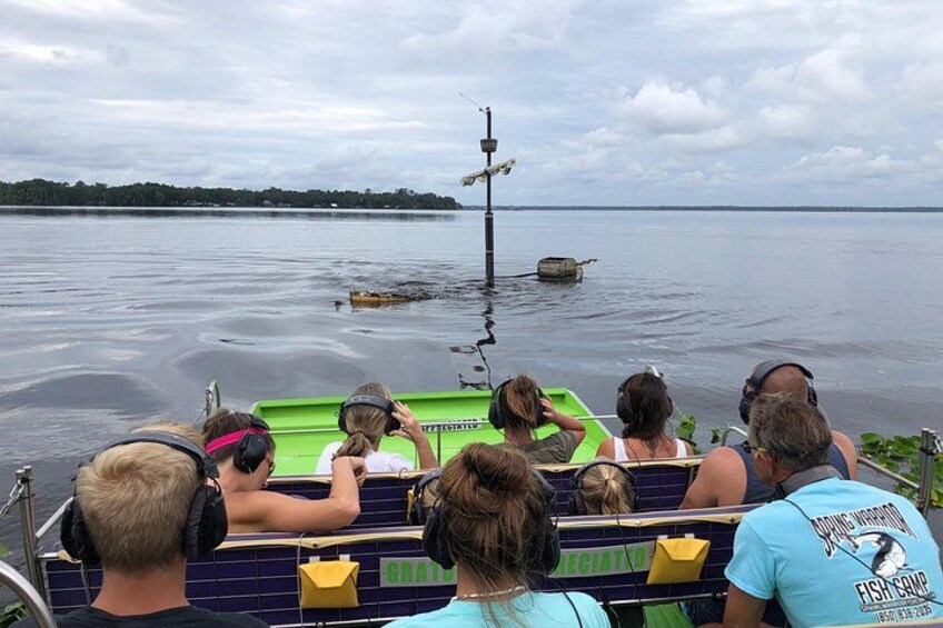 Airboat Adventure in Saint Augustine with a Guide 4