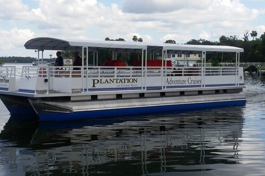 Plantation Princess 5
