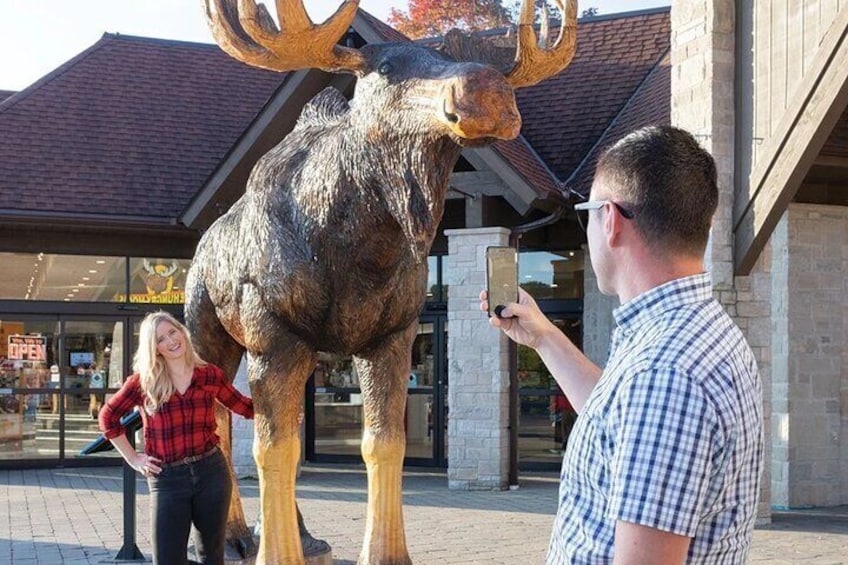 A large moose statue in front of a building. 2