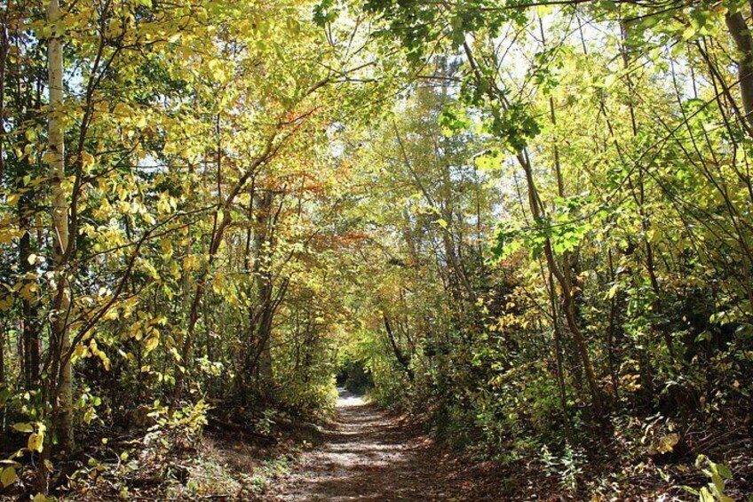 Trail at Green Gables (fall) 3
