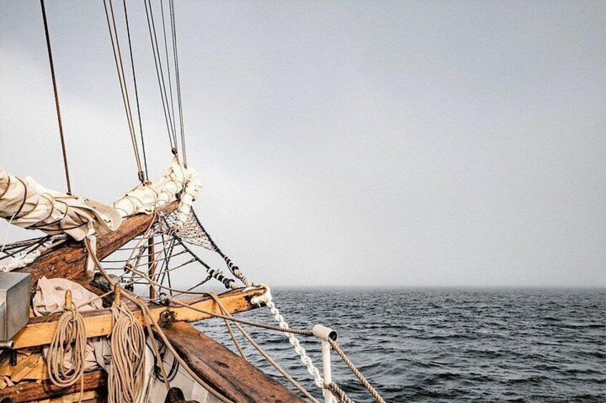 1-Hour Interactive Pirate Cruise (arrive 30 minutes early) 2