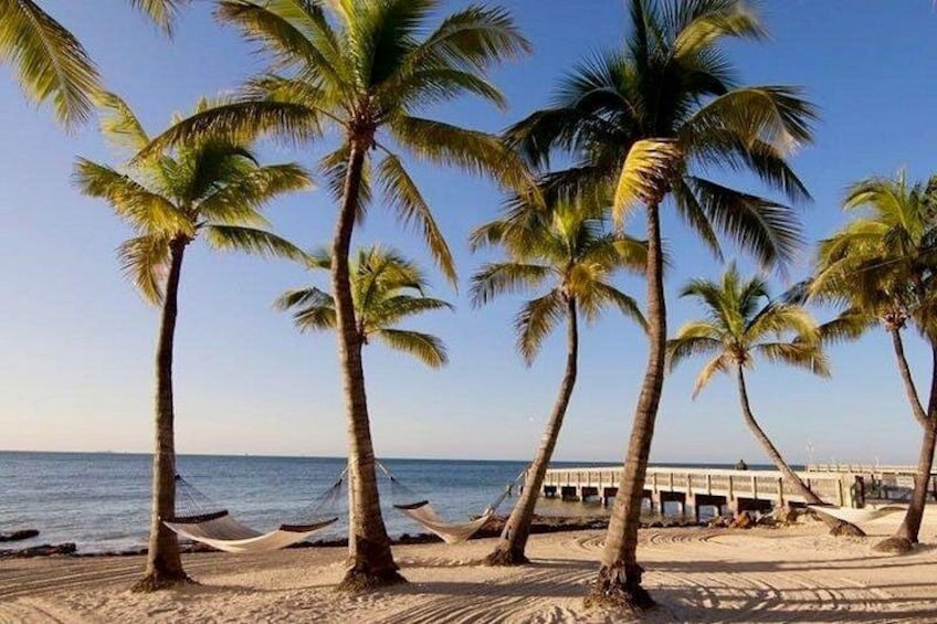 Miami to Key West Day Trip with Activity Options 3