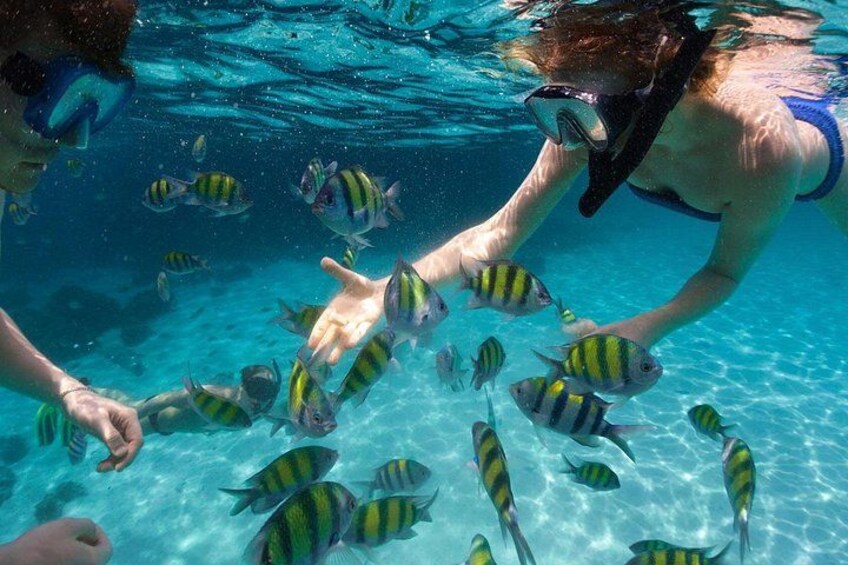 Miami to Key West Day Trip with Activity Options 5