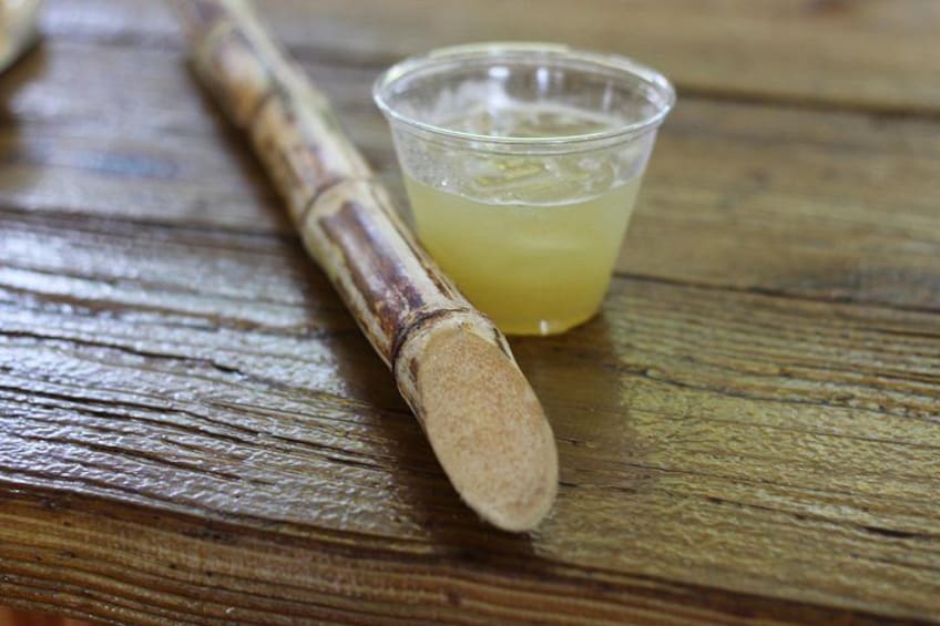 Sugarcane 4
