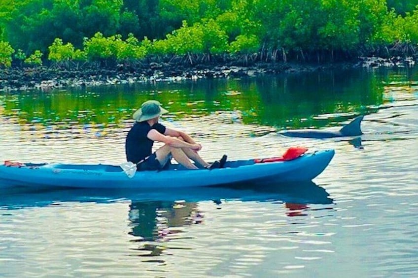 Daytona Beach Dolphin & Manatee Tour – Paddleboard or Kayak 2