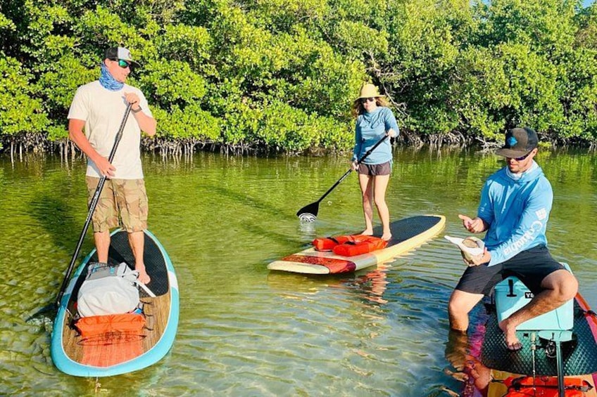 Daytona Beach Dolphin & Manatee Tour – Paddleboard or Kayak 4