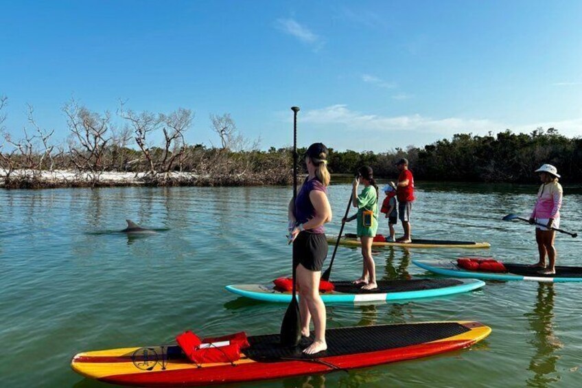 People paddleboarding on calm water with trees and a clear sky in the background. 4