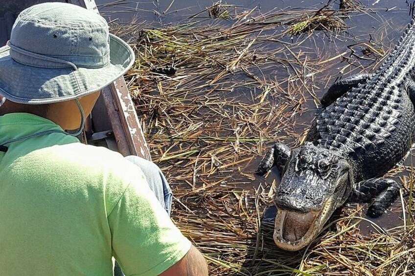 Une personne dans un bateau avec un alligator. 1