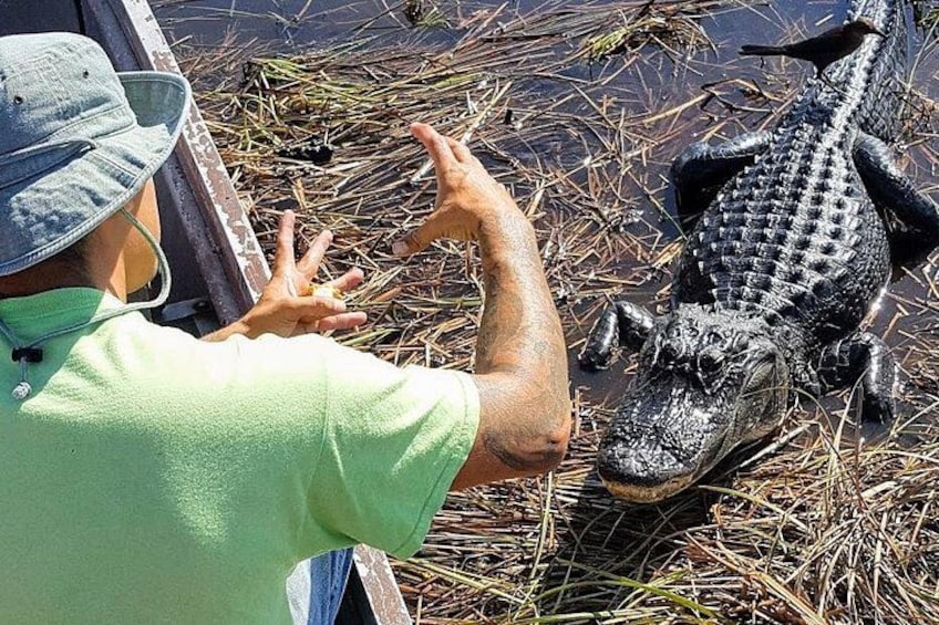 Smaller Airboat - The Real Everglades 2