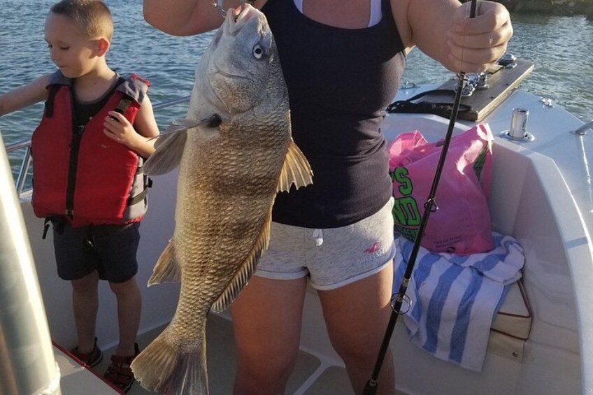 Black drum 5