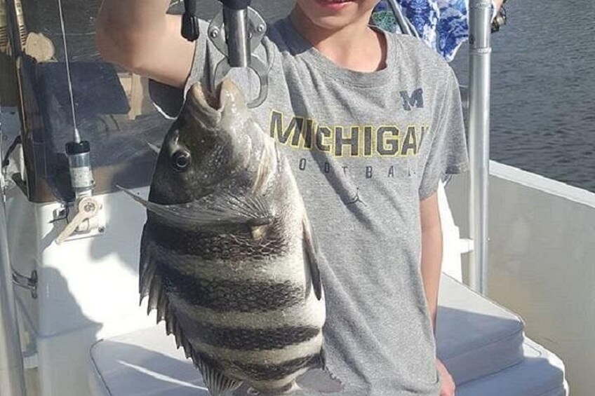 Sheepshead 2