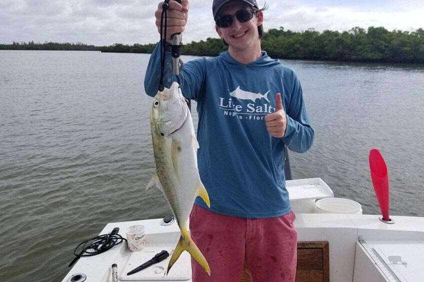 Jack Crevalle 4