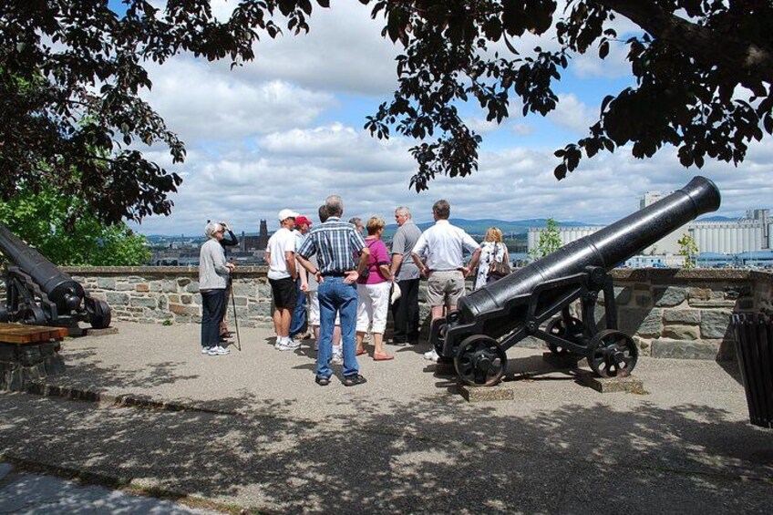 A group of people observing a cannon in a park. 2