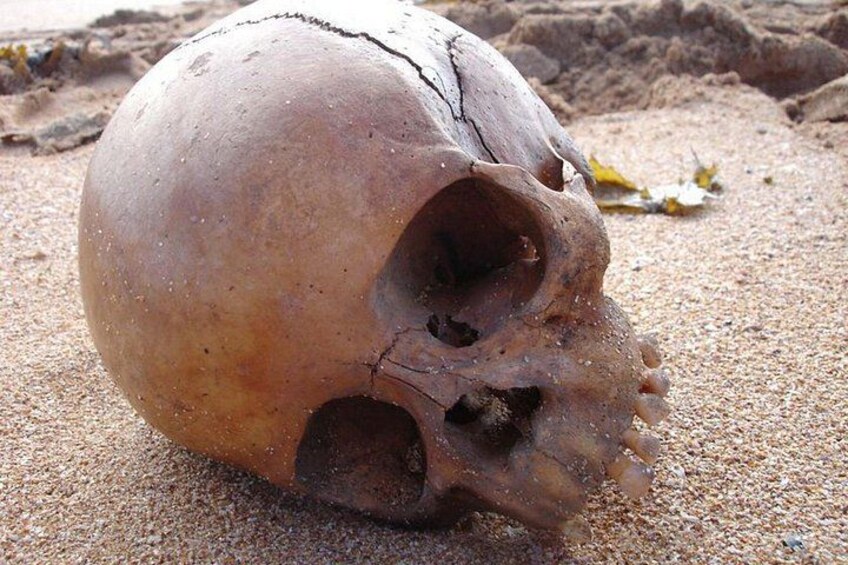 A skull with a large hole in the lower jaw, lying on sandy ground. 4