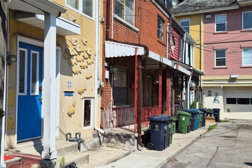 Kensington Market International Food Tour 4