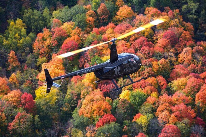 Helicopter Tour Over Montreal 3