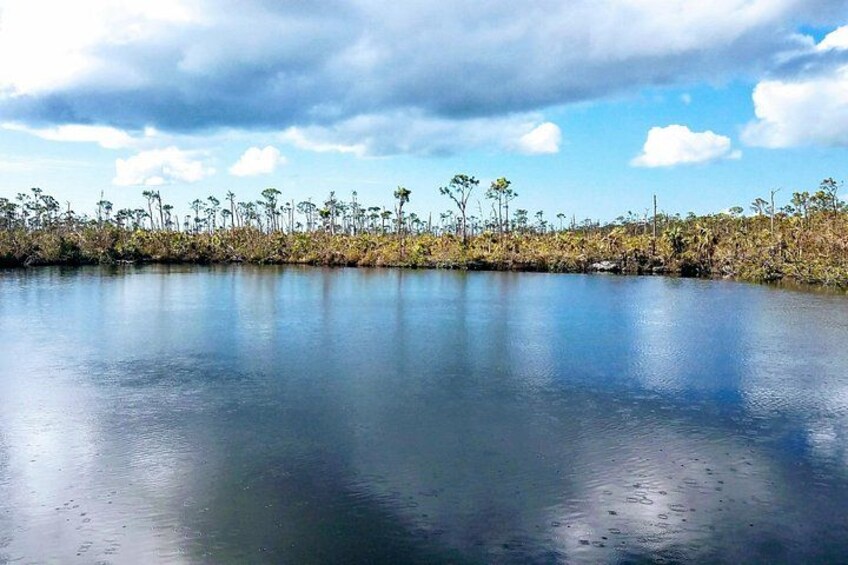 A calm body of water reflecting the sky and vegetation. 2