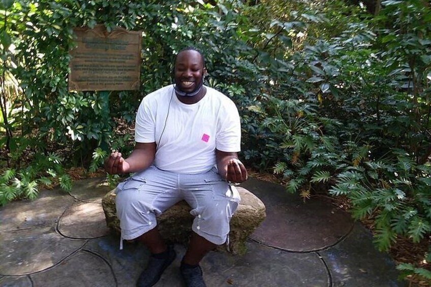 A person sitting on a stone bench surrounded by dense green foliage. 3