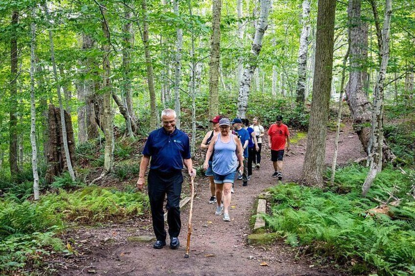 A group of people walking on a forest trail. 2