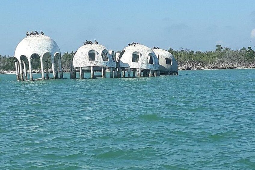 PRIVATE Eco Boat Trip out of Naples Bay, FL , island stop incl. 4