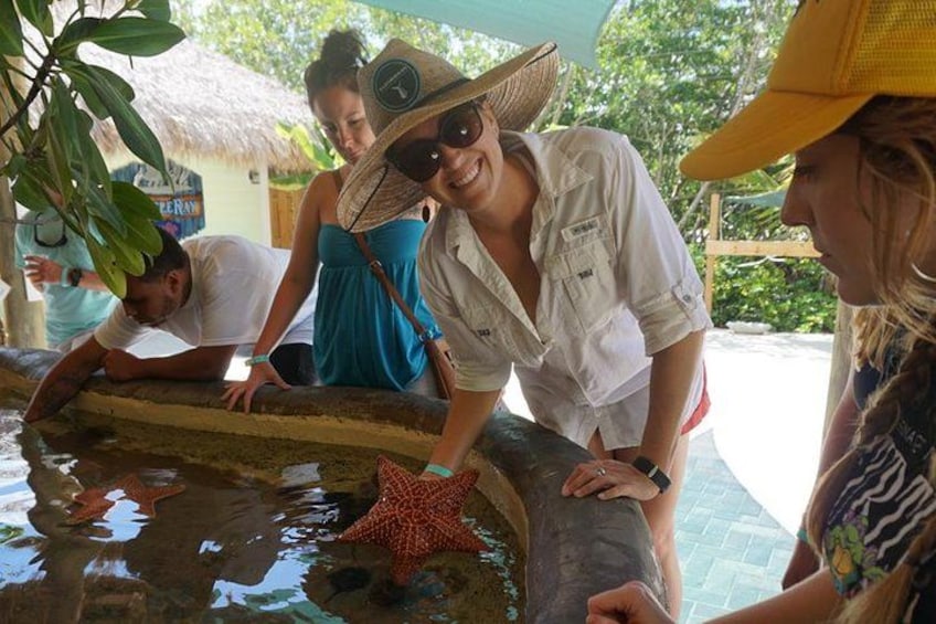 Pick up a starfish or a conch at the touch tank! 1