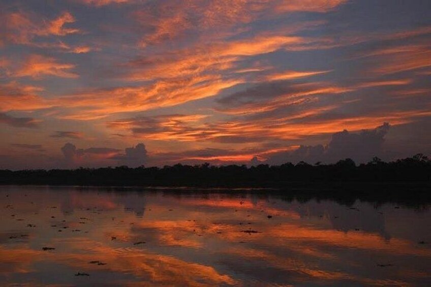 3-Day All Inclusive Guided Jungle Tour from Iquitos at Maniti Eco-Lodge 5