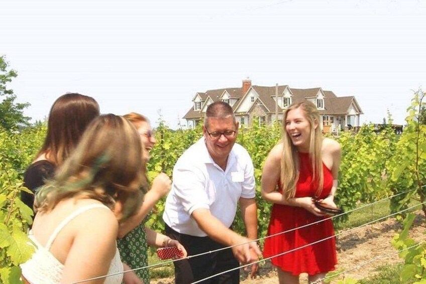 Wine Tasting and Pairing Afternoon Tour 1