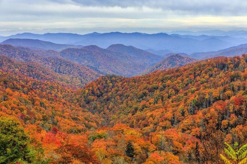 Waterfalls and Blue Ridge Parkway Hiking Tour with Expert Naturalist 2