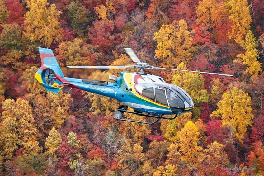 Niagara Falls Canada Helicopter Tour 2