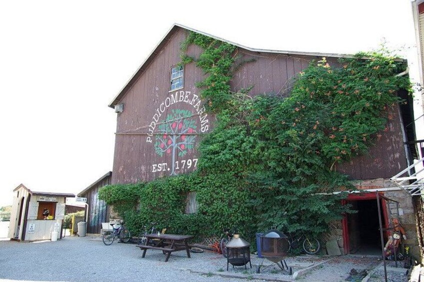 Niagara Wine Tour and Tastings with Transportation 2