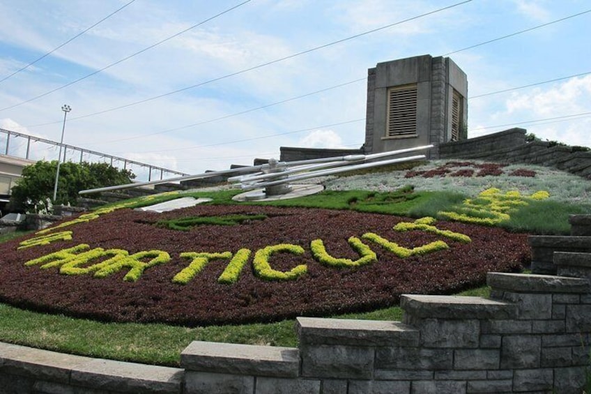 Un jardin aménagé où le mot «
ARTICULI
» est formé à l’aide de fleurs jaunes. 4