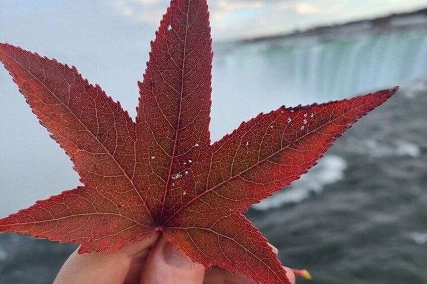 Une main tenant une feuille rouge, avec une cascade floue en arrière-plan. 3