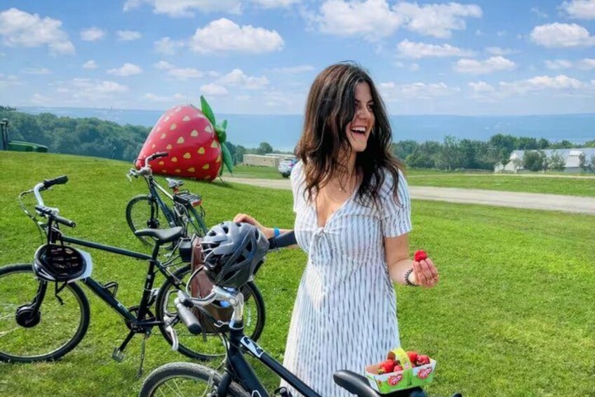 Quebec City - Electric Bike Rental on Ile d'Orléans 2
