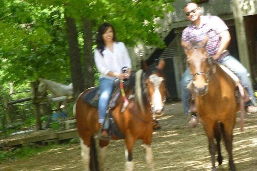 Georgia Horseback Ride with Wine Tasting 4