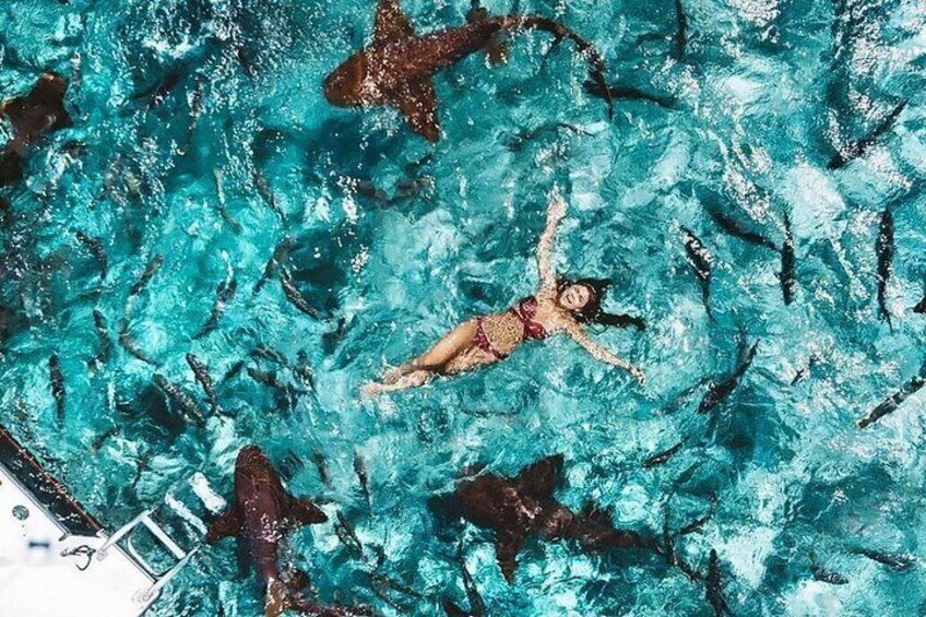 A person swimming in a pool with clear blue water and dark rocks. 1
