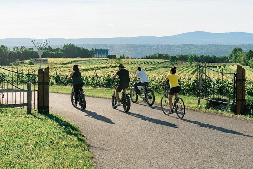 Visit wineries and more 5