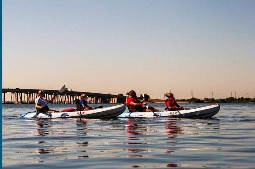 Fully Guided Kayaking Backwater Manatee and Dolphin Tour 4