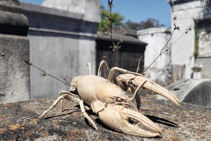 New Orleans Garden District History Walking Tour 2