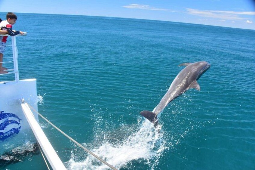 All Inclusive Catamaran Eco Adventure from Manuel Antonio 5