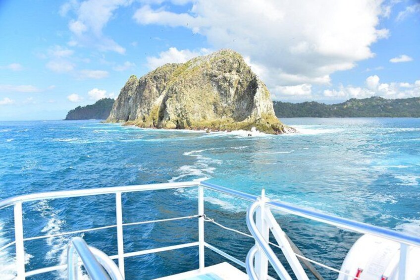 All Inclusive Catamaran Eco Adventure from Manuel Antonio 3