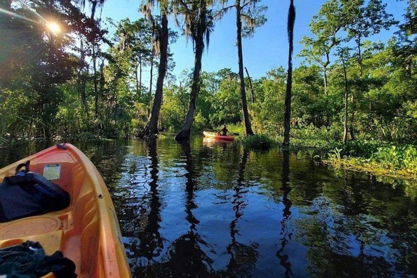 Small-Group Manchac Swamp Kayak Tour 5