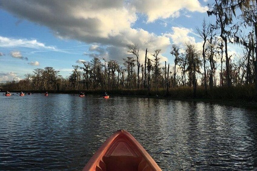 Small-Group Manchac Swamp Kayak Tour 3