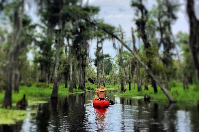 Small-Group Manchac Swamp Kayak Tour 1