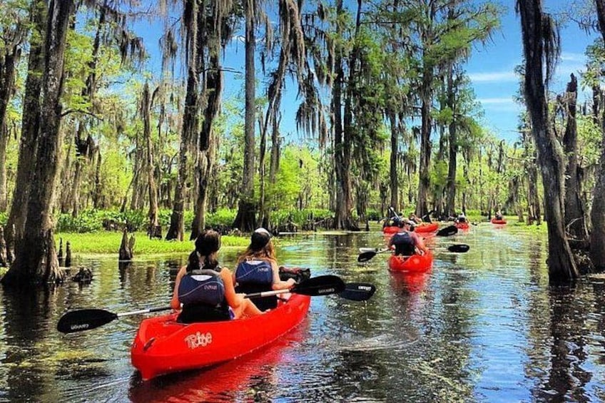 Small-Group Manchac Swamp Kayak Tour 3
