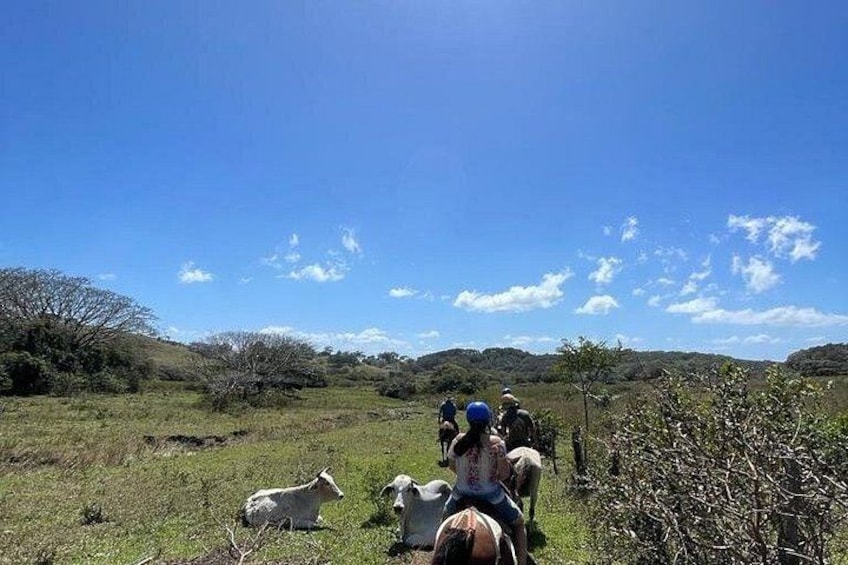 Vida Aventura Ranch Experience 5