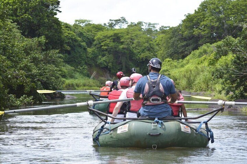 Private Sloth Encounter Waterfall And Corobici Floating Tour