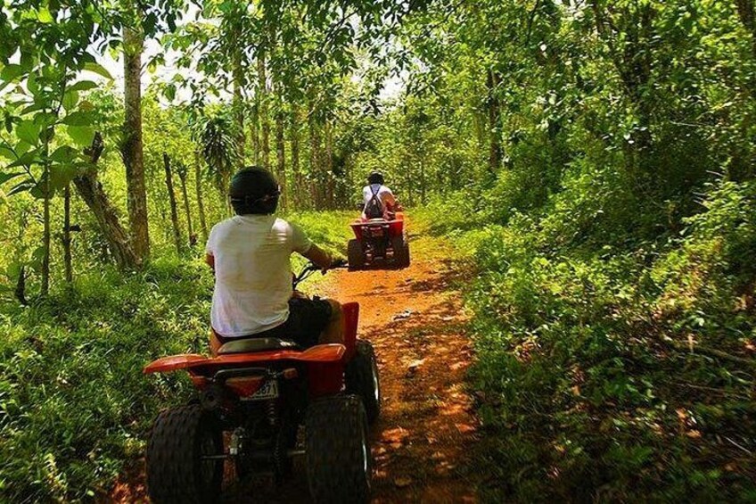 ATV 2 hour rainforest adventure 2