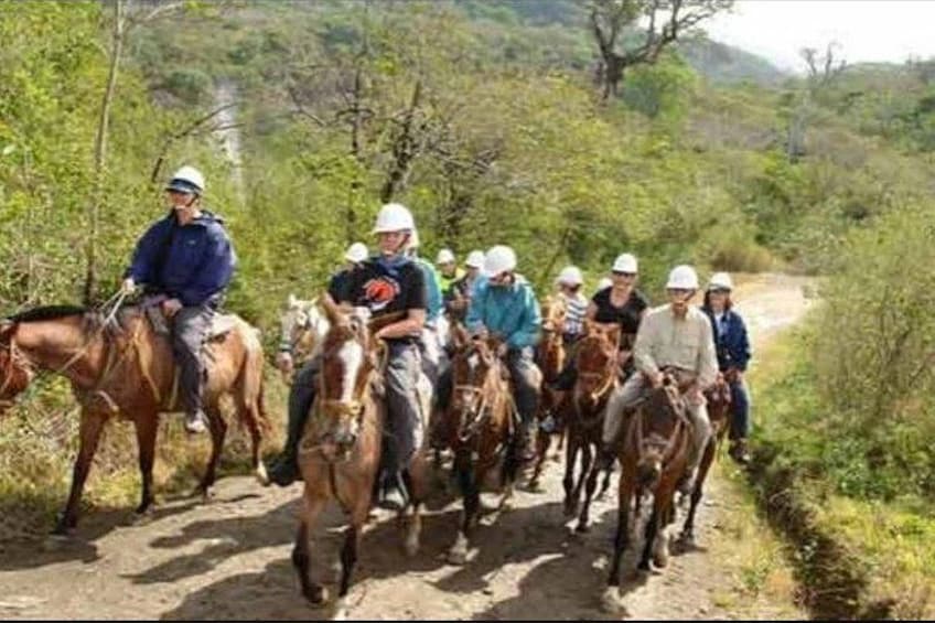 Eine Gruppe von Reitern auf einem Feldweg, umgeben von viel Grün. 4