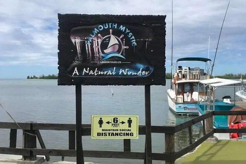 Luminous Lagoon Dark Night Tour 3
