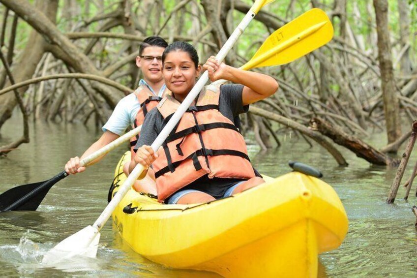 Damas Island Mangrove Kayaking Tour from Manuel Antonio